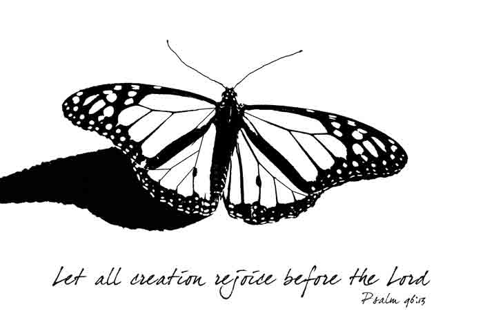 Butterfly-coloring-sheet