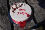 birthday-cake-438509_1920