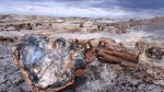 petrified-forest-293076_960_720